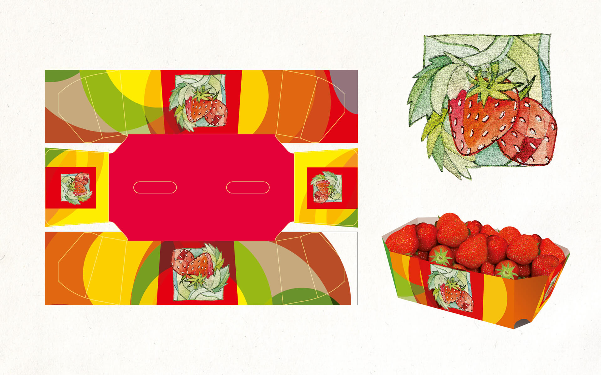 Illustration für Obstschale - Firma Frutmac
