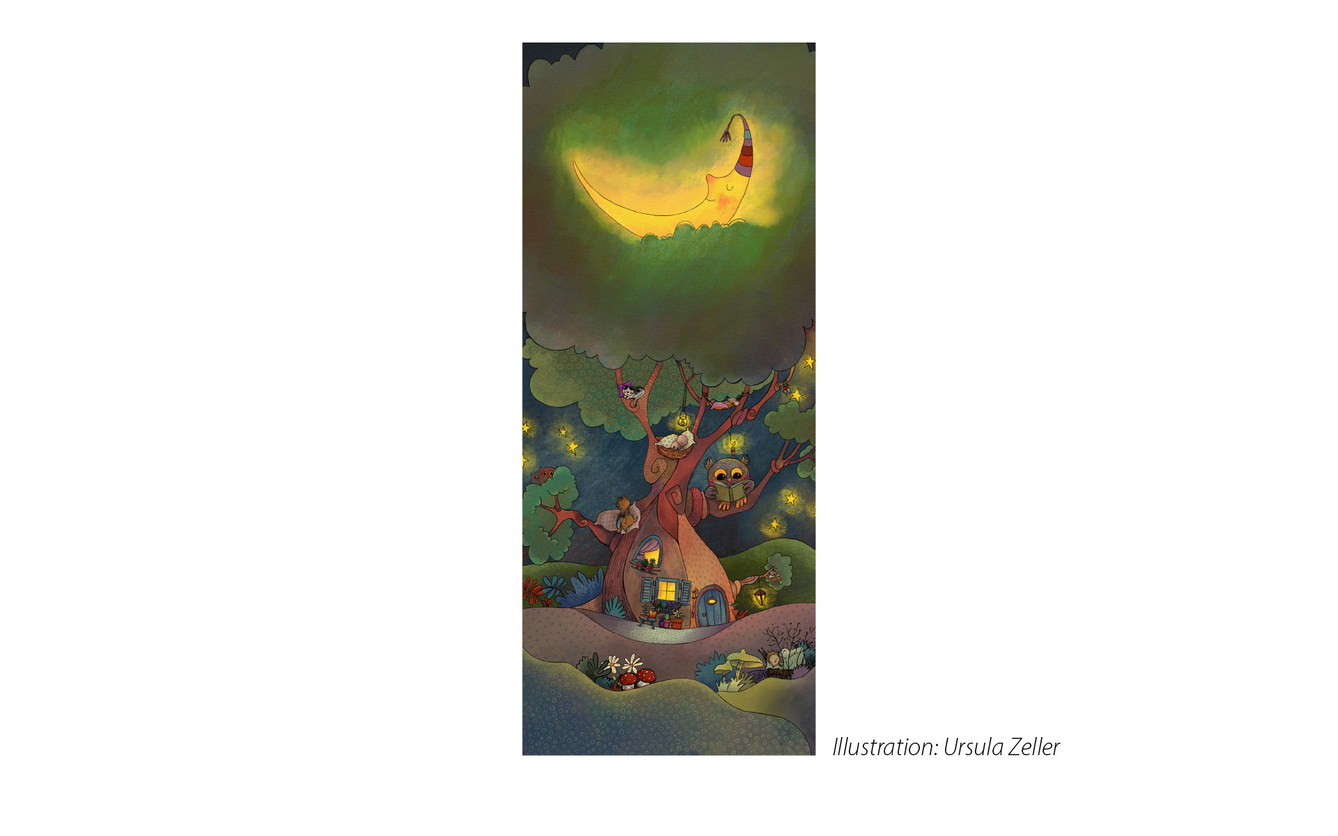 Illustration für Banner Logo Sala