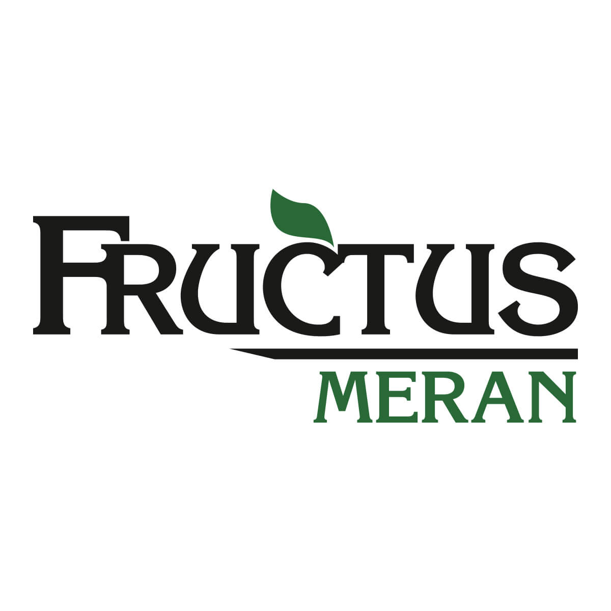 logo-fructus