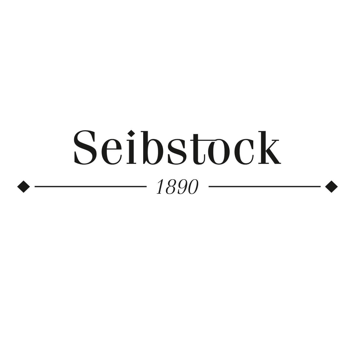 Logo Seibstock zepra.it - Vorschau